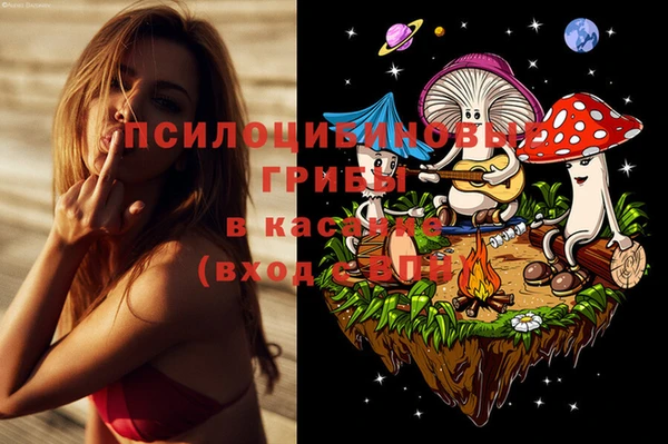 стаф Баксан
