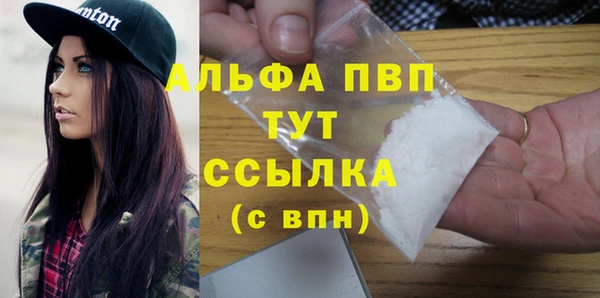 стаф Баксан