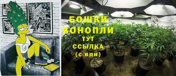 spice Балабаново