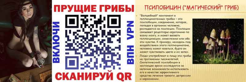 Галлюциногенные грибы Magic Shrooms  Татарск 